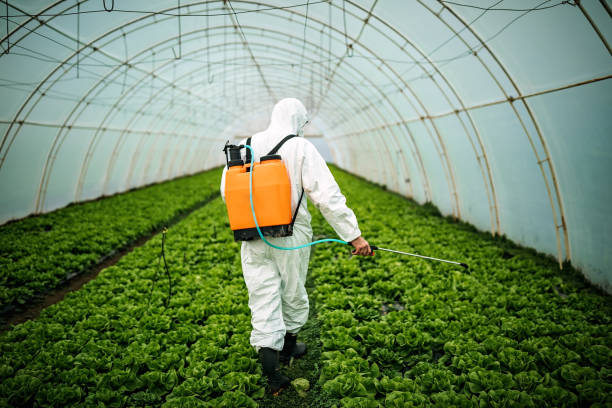 Best Residential Pest Control  in Hallettsville, TX
