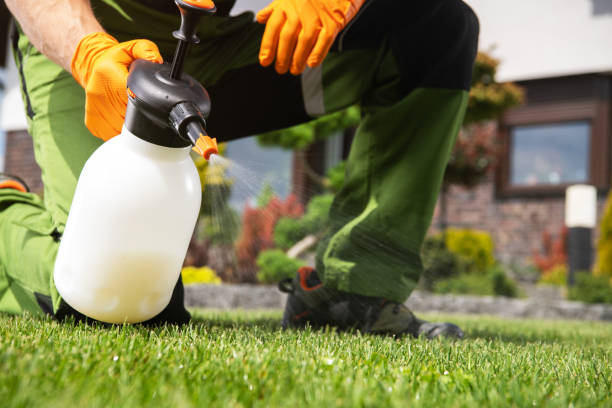 Best Pest Inspection Near Me  in Hallettsville, TX
