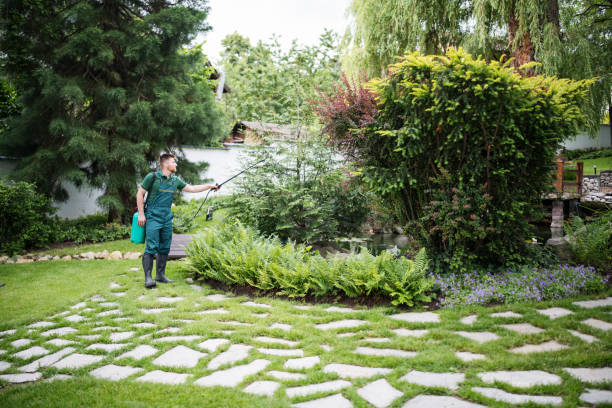 Wasp Removal Services in Hallettsville, TX