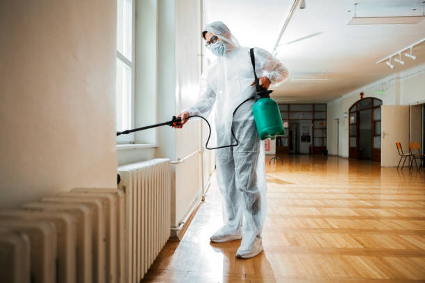 Best Affordable Pest Control Services  in Hallettsville, TX